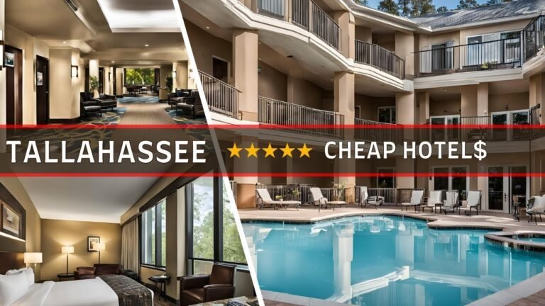 Tallahassee Hotels 2024 | Top 10 Best Budget-Friendly Hotels in in Tallahassee Florida