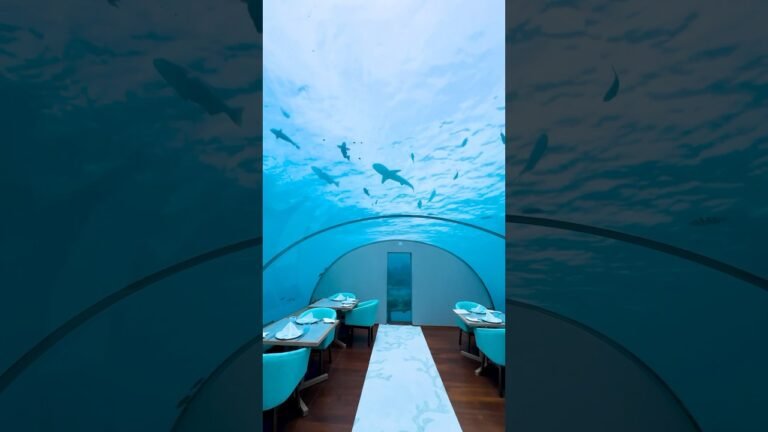 world’s first undersea restaurant at #conradmaldives