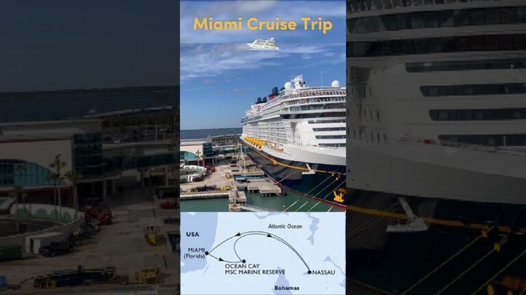 Cruising Through Miami: A Dreamy Vacation Experience #miami #cruise